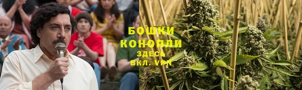 бошки Алзамай