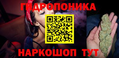 шишки Гуково