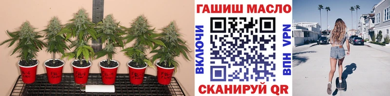 Дистиллят ТГК Wax  Находка 