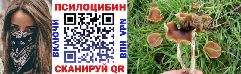 Псилоцибиновые грибы Magic Shrooms  магазин продажи   Находка 